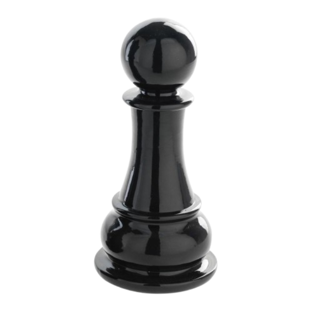 Public Schools Chess Development